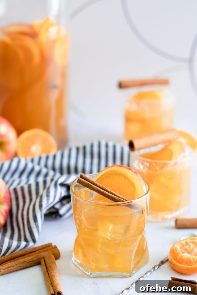 Sparkling Apple Cider Rum Punch Recipe for Fall Gatherings 3 rum punch in a glass with an apple cinnamon stick and slice of orange
