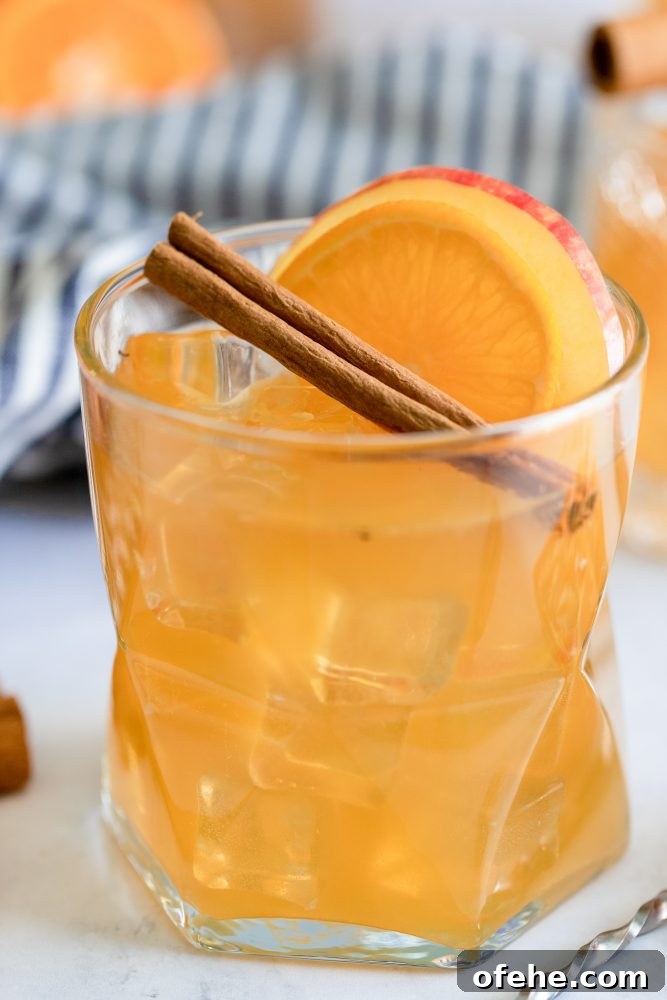 Sparkling Apple Cider Rum Punch Recipe for Fall Gatherings 4 rum punch in a glass with an apple cinnamon stick and slice of orange