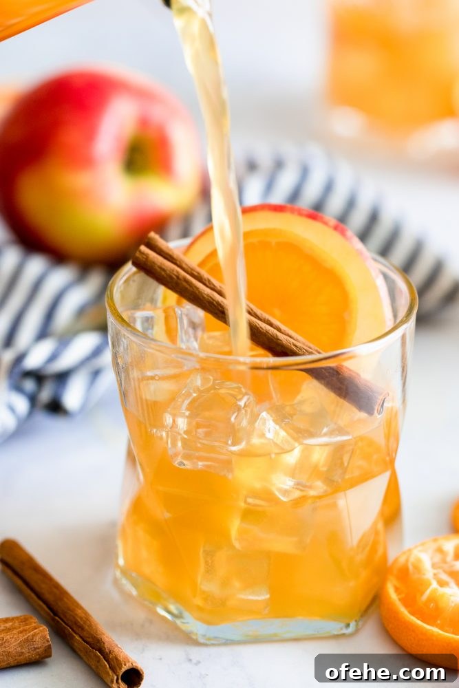 Sparkling Apple Cider Rum Punch Recipe for Fall Gatherings 6 rum punch in a glass with an apple cinnamon stick and slice of orange