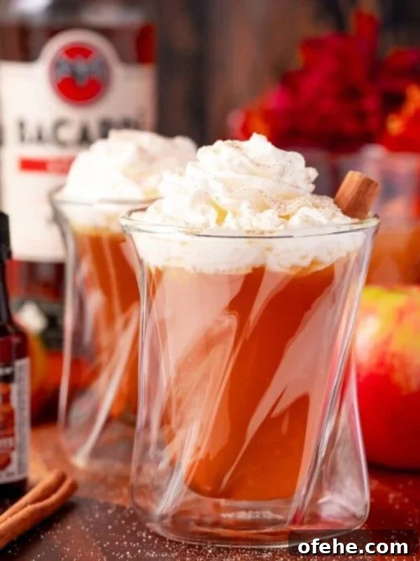 Sparkling Apple Cider Rum Punch Recipe for Fall Gatherings 9 Two glasses of apple cider with whipped cream and cinnamon