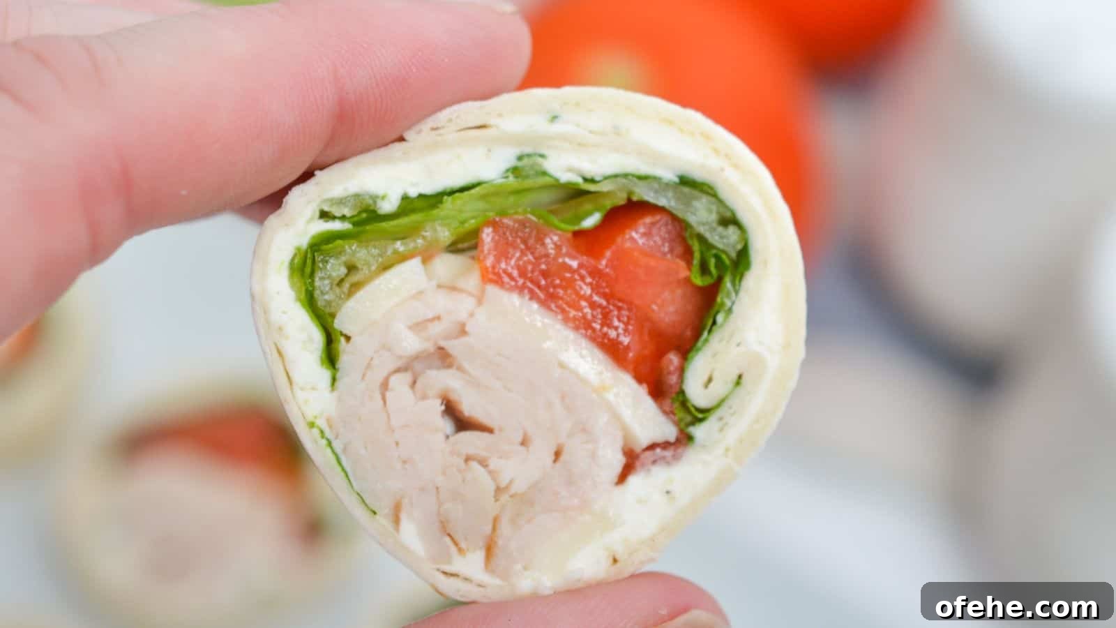 30 Quick Appetizers to Impress Guests Without Fuss 16 A close-up of a hand holding a turkey roll-up slice.