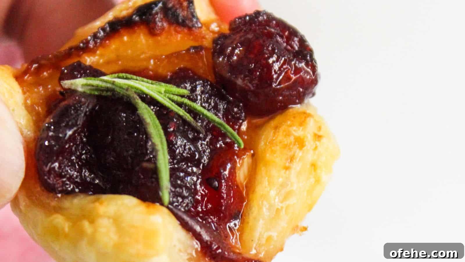 30 Quick Appetizers to Impress Guests Without Fuss 9 Close-up of a pastry topped with cranberries and a sprig of rosemary.
