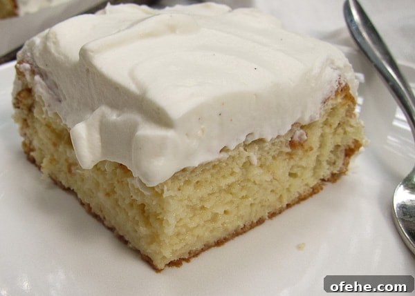 Authentic Tres Leches Cake Recipe: Flaming Eye Ghost Cake Dessert 5 img 5163 4