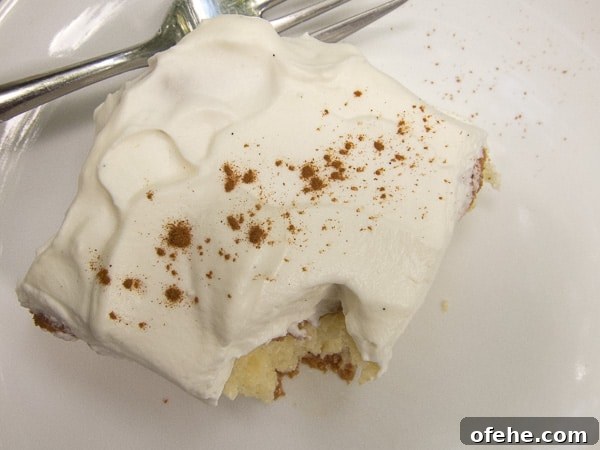 Authentic Tres Leches Cake Recipe: Flaming Eye Ghost Cake Dessert 6 img 5163 5