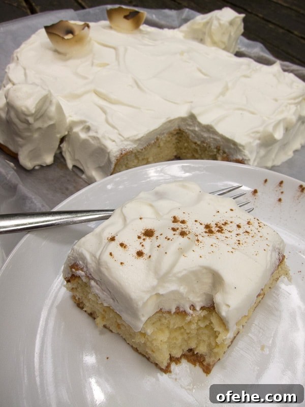 Authentic Tres Leches Cake Recipe: Flaming Eye Ghost Cake Dessert 8 img 5163 7
