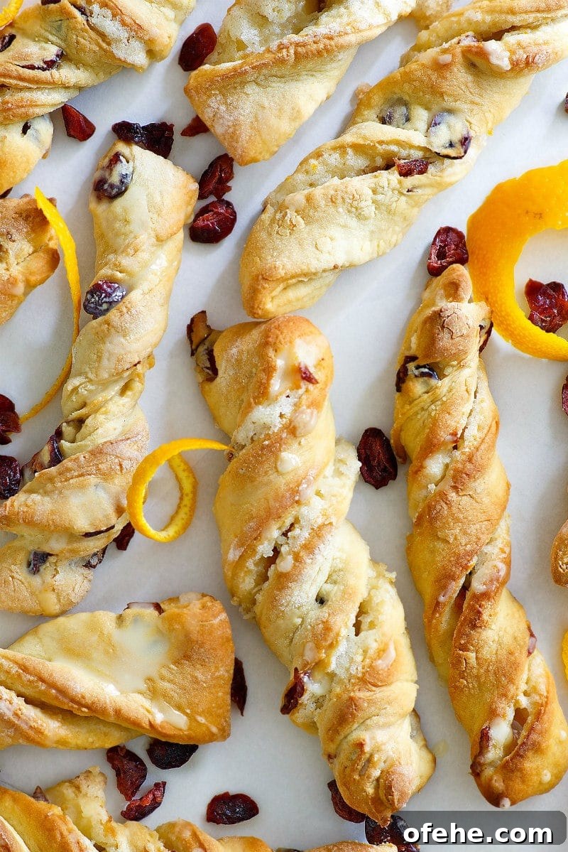 Orange Cranberry Twists : a delicious sweet pastry that is perfect for fall breakfast or brunch. Orange Cranberry Twists