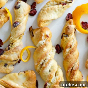 Orange Cranberry Twists Recipe 2 img 516 5