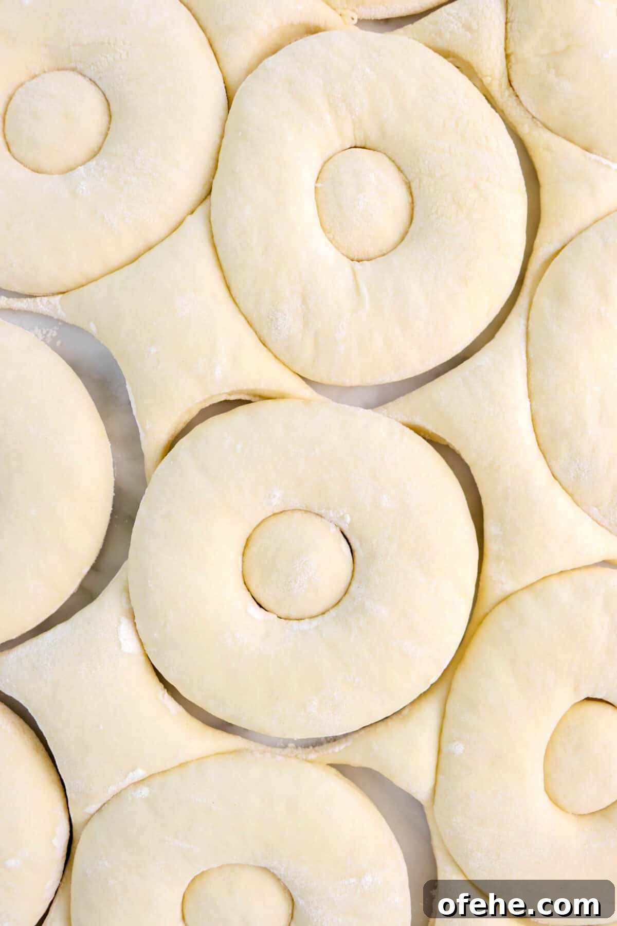 doughnuts cut into dough