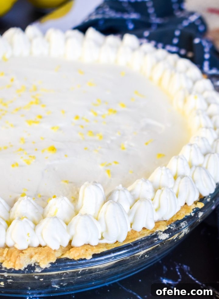 Creamy Lemon Sour Cream Pie Recipe for Tangy Dessert 6 img 5296 5