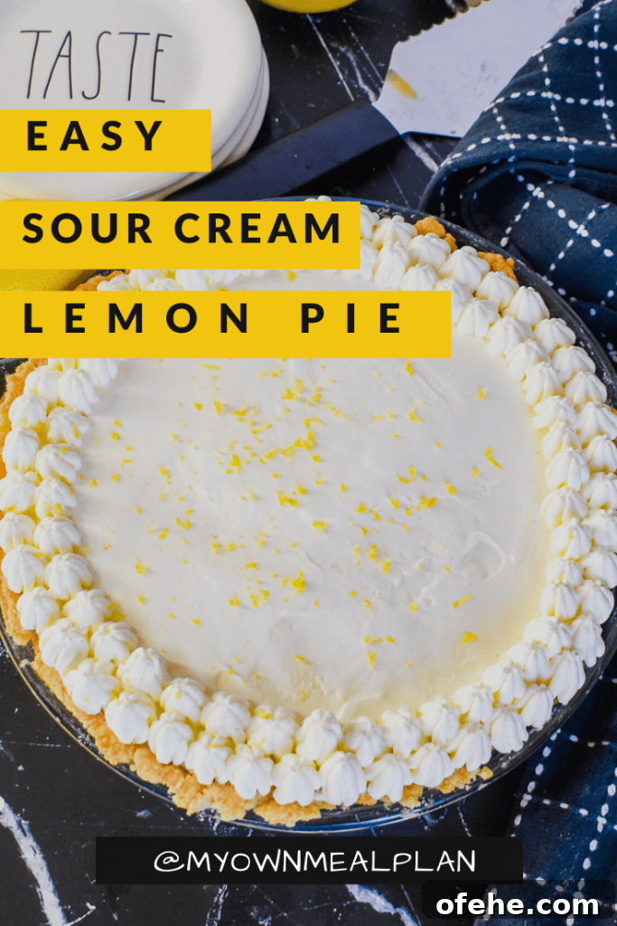Creamy Lemon Sour Cream Pie Recipe for Tangy Dessert 7 img 5296 6