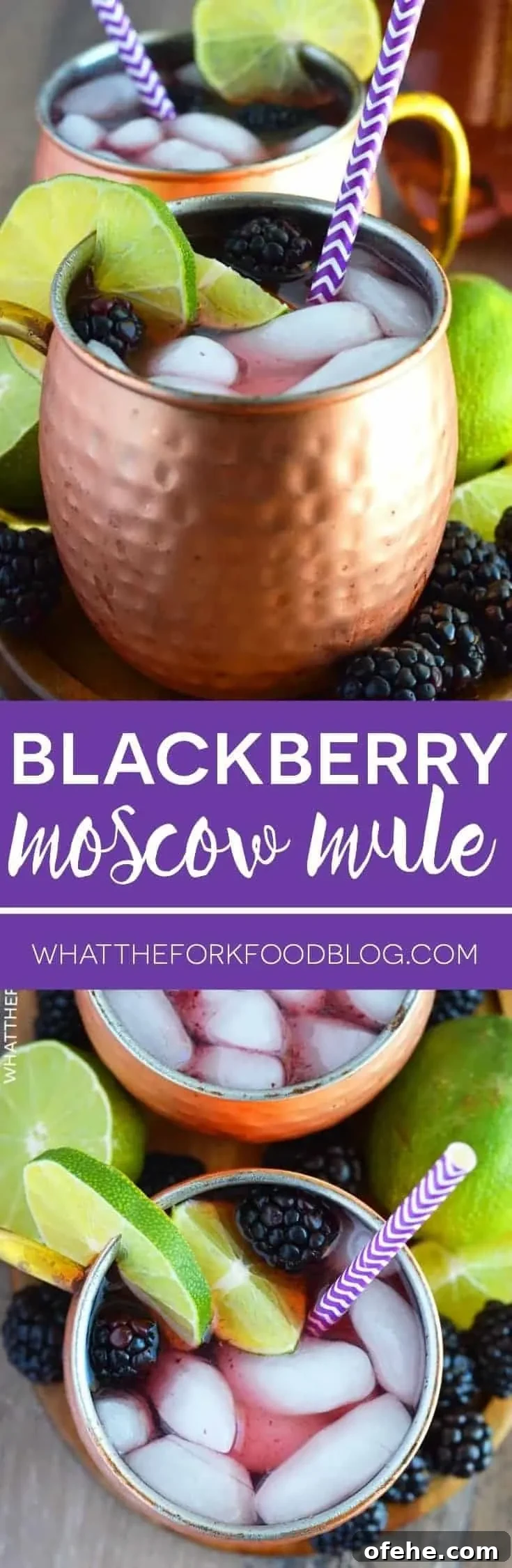 Blackberry Moscow Mule Recipe: Refreshing Cocktail with Lime and Mint 8 Blackberry Moscow Mule collage