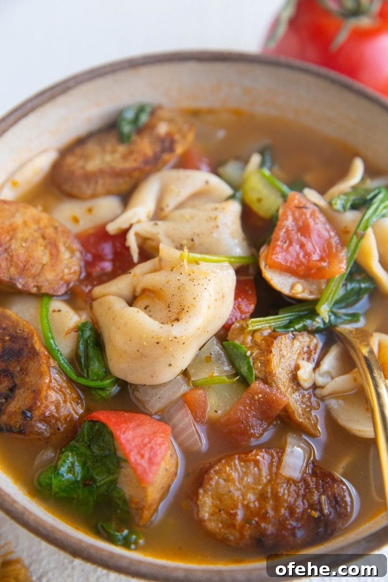close up image of tortellini soup