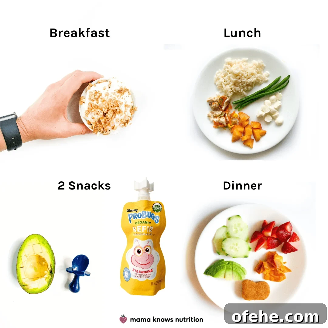 Healthy Toddler Meals Day of plated meals and snacks for toddler on colorful plates