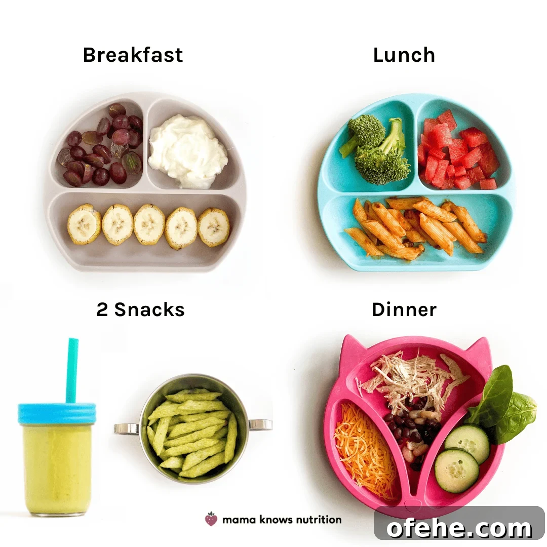 Healthy Toddler Meals Day of plated meals and snacks for toddler on colorful plates