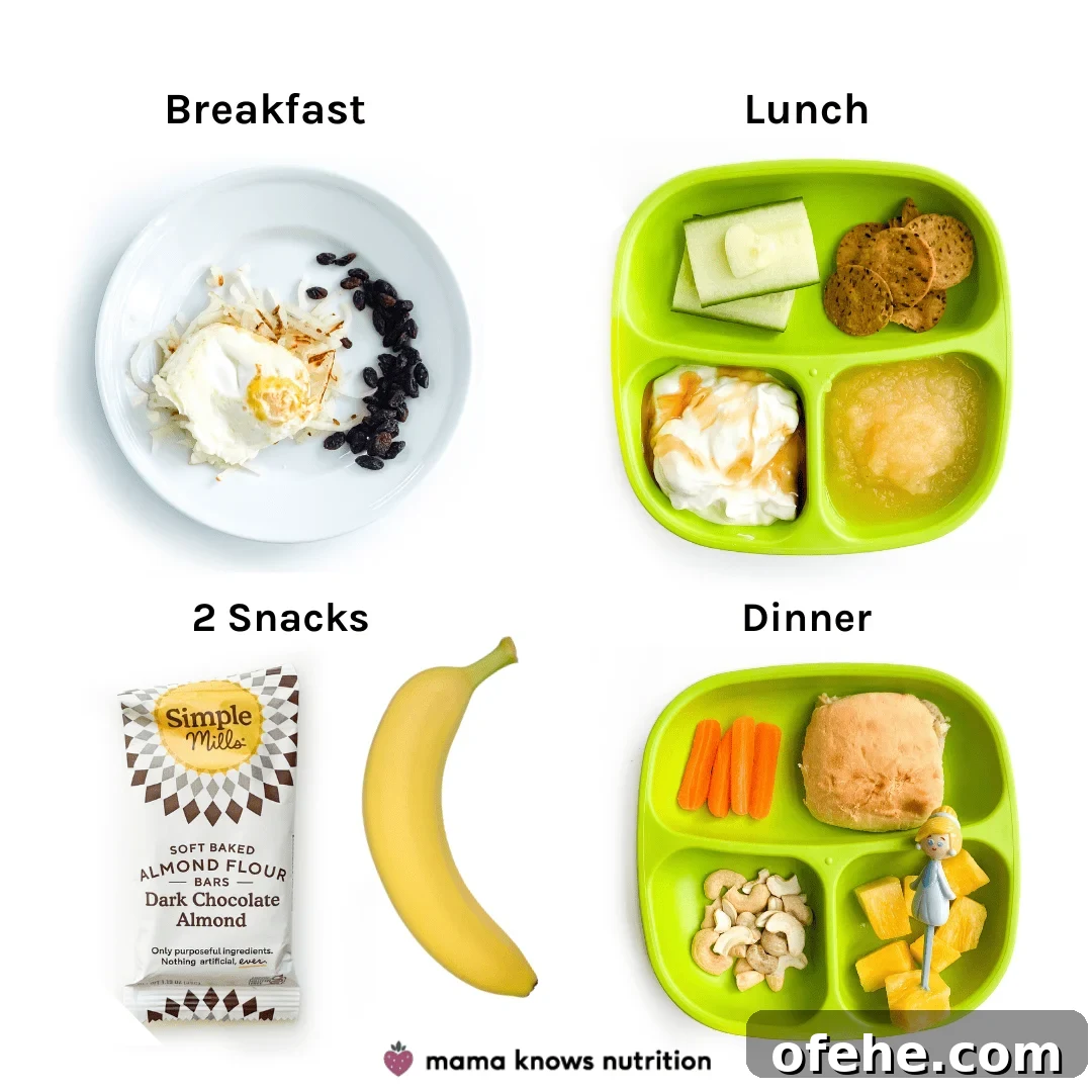 Healthy Toddler Meals Day of plated meals and snacks for toddler on colorful plates