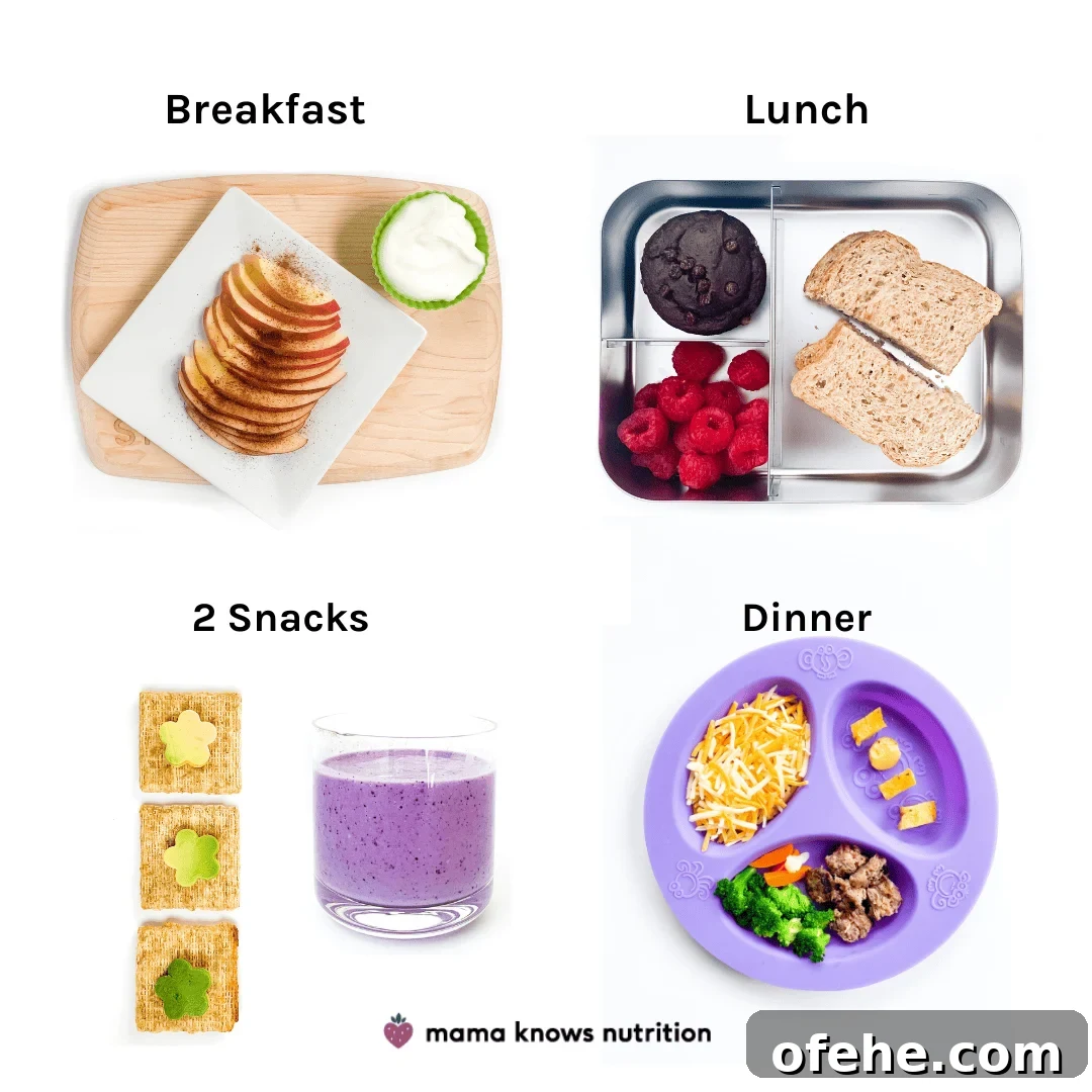 Healthy Toddler Meals Day of plated meals and snacks for toddler on colorful plates