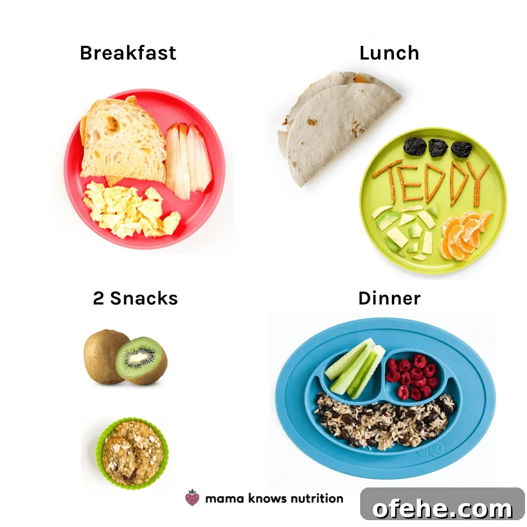 Healthy Toddler Meals Day of plated meals and snacks for toddler on colorful plates