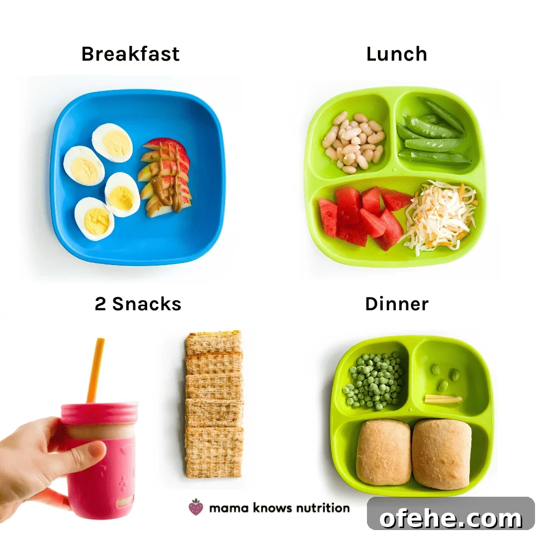 Healthy Toddler Meals Day of plated meals and snacks for toddler on colorful plates