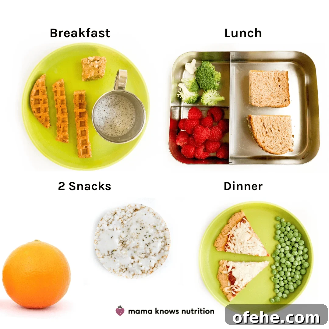 Healthy Toddler Meals Day of plated meals and snacks for toddler on colorful plates