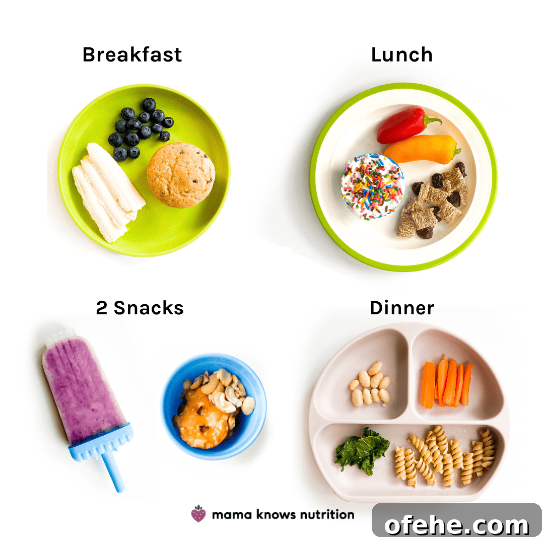 Healthy Toddler Meals Day of plated meals and snacks for toddler on colorful plates