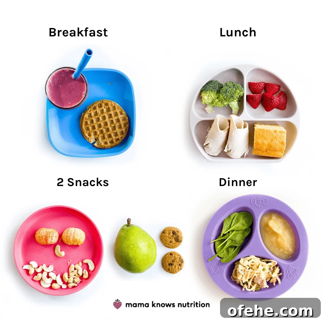 Healthy Toddler Meals Day of plated meals and snacks for toddler on colorful plates