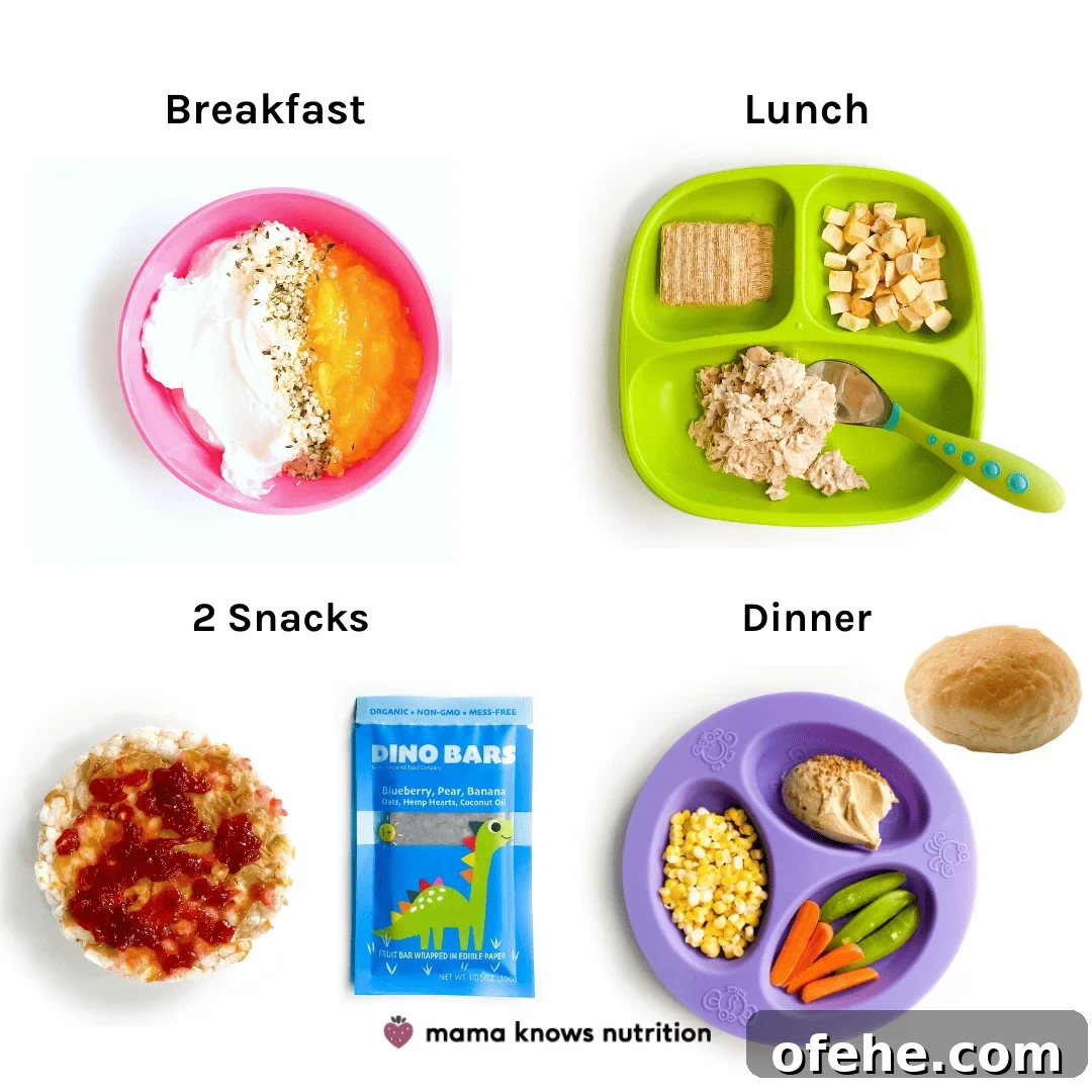 Healthy Toddler Meals Day of plated meals and snacks for toddler on colorful plates