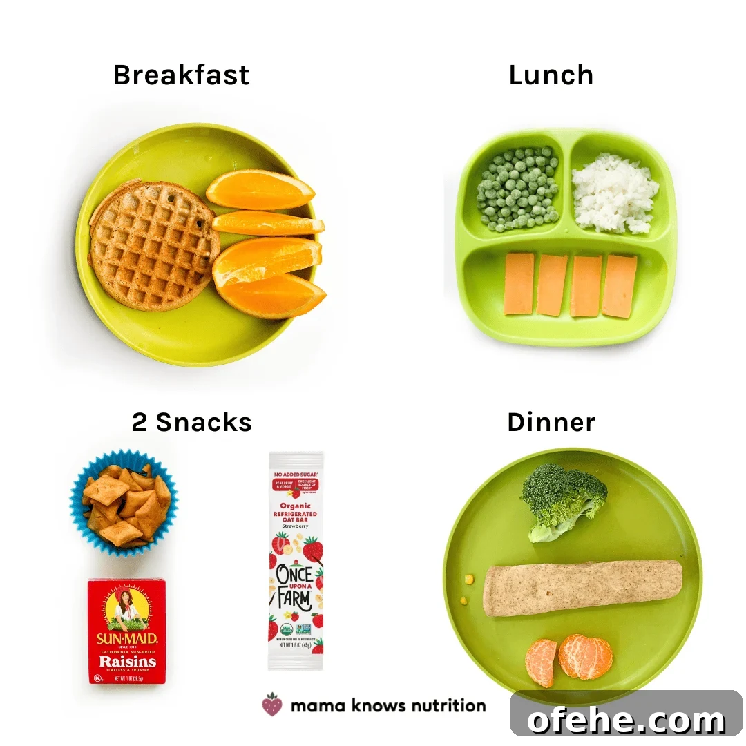Healthy Toddler Meals Day of plated meals and snacks for toddler on colorful plates