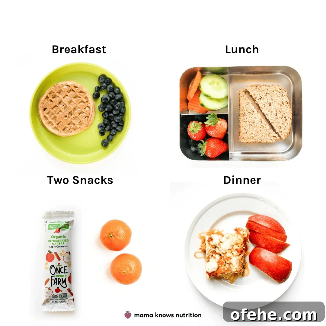 19-Day Toddler Meal Plan with Simple, Nutritious Recipes and Ideas 3 Day of plated meals and snacks for toddler on colorful plates