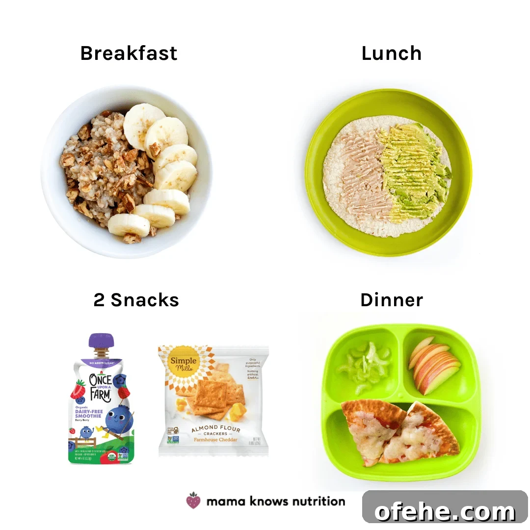 Healthy Toddler Meals Day of plated meals and snacks for toddler on colorful plates