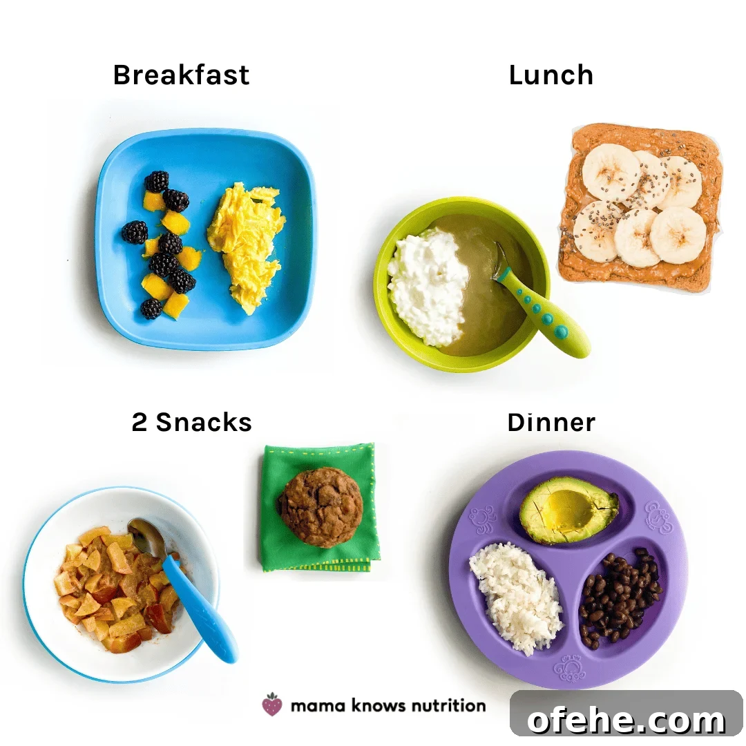 Healthy Toddler Meals Day of plated meals and snacks for toddler on colorful plates