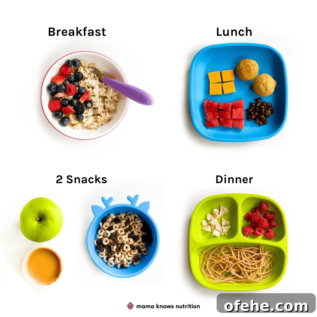 Healthy Toddler Meals Day of plated meals and snacks for toddler on colorful plates