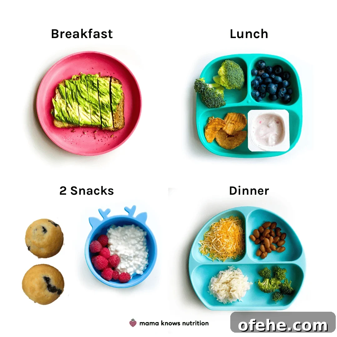 Healthy Toddler Meals Day of plated meals and snacks for toddler on colorful plates