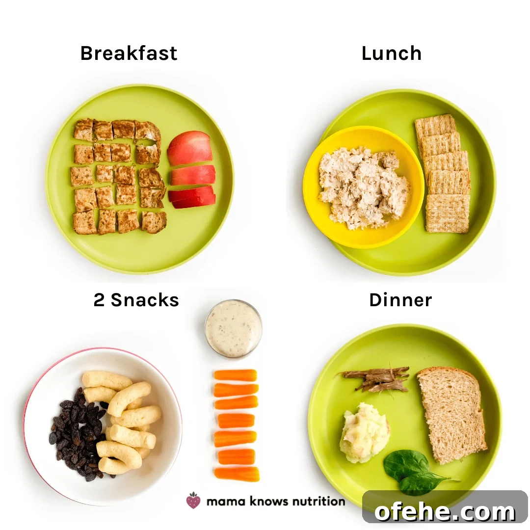 Healthy Toddler Meals Day of plated meals and snacks for toddler on colorful plates