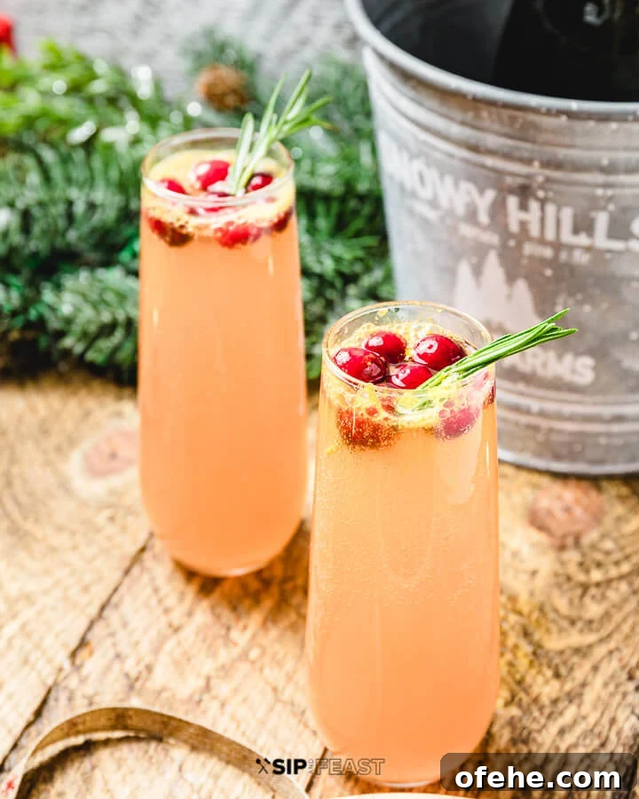 Cranberry Mimosa 2 champagne flutes filled with cranberry mimosa, garnished with cranberries. Bucket with prosecco in background.