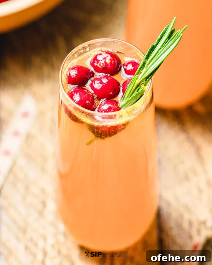 Cranberry Mimosa Closeup shot of Cranberry Mimosa with cranberries and rosemary.