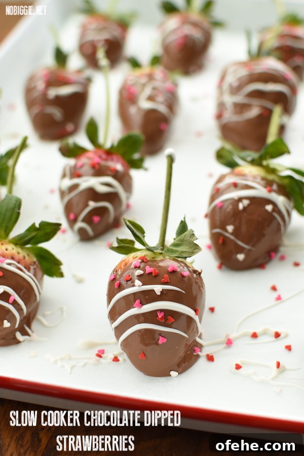 Slow Cooker Chocolate-Covered Strawberries: Simple Recipe for Dipping 2 chocolate dipped strawberries for Valentine's Day | NoBiggie.net