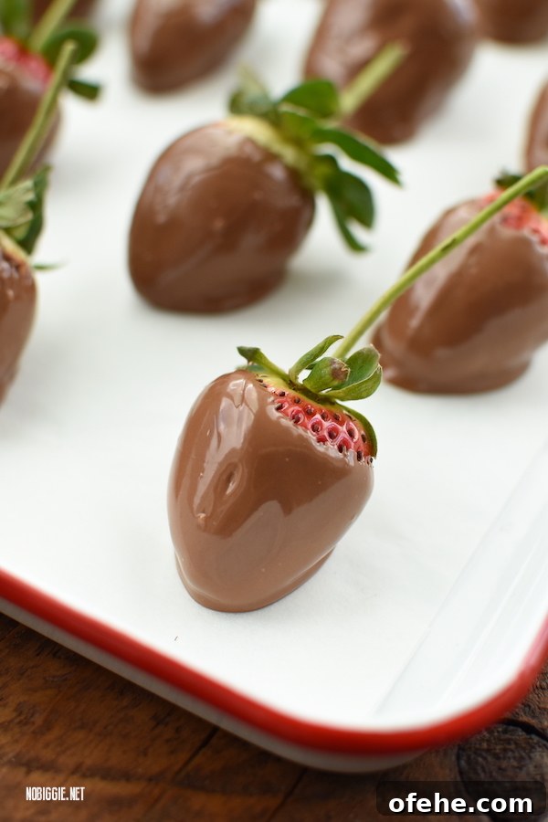 Slow Cooker Chocolate-Covered Strawberries: Simple Recipe for Dipping 3 chocolate dipped strawberries | NoBiggie.net