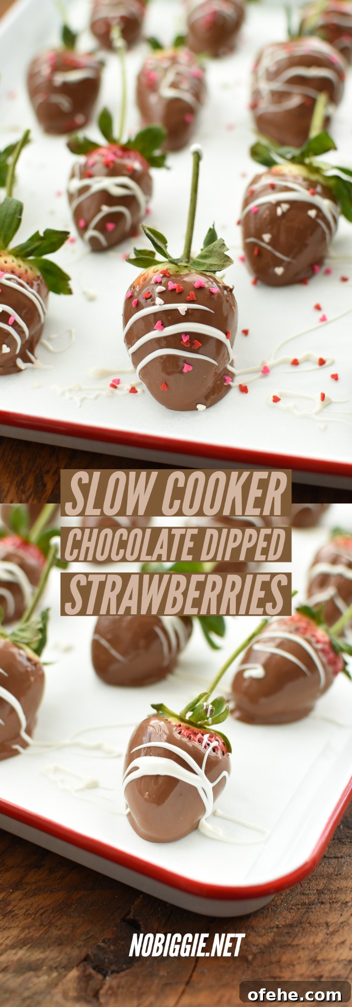 Slow Cooker Chocolate-Covered Strawberries: Simple Recipe for Dipping 6 slow cooker chocolate dipped strawberries | NoBiggie.net