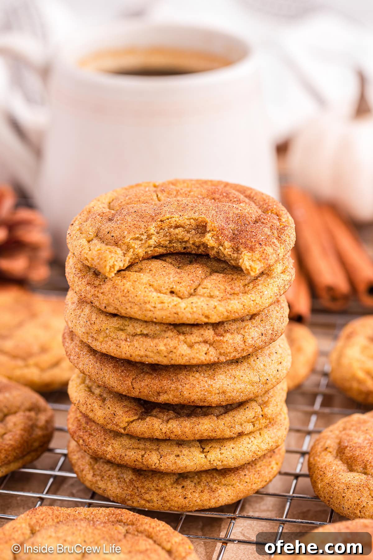 Pumpkin Snickerdoodle Cookies — Soft Fall Spice Recipe 2 A stack of pumpkin snickerdoodles on a wire rack.