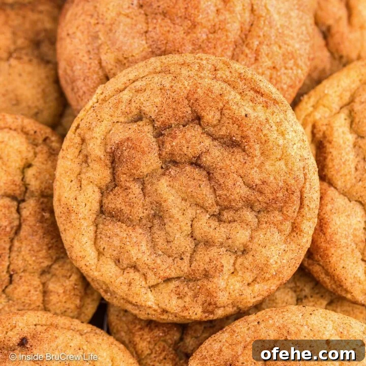 Cinnamon sugar coated cookies stacked together.