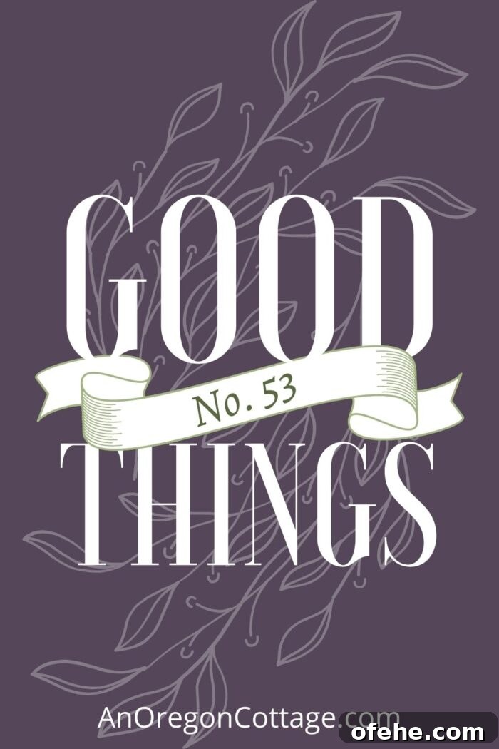 GOOD THINGS No.53