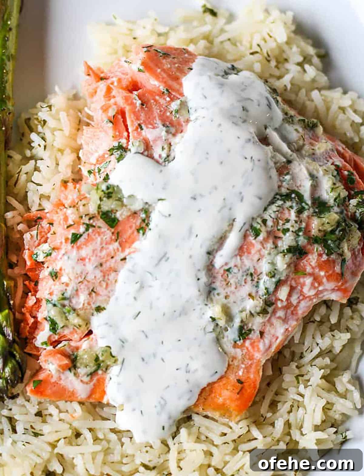 Creamy Lemon Dill Sauce Recipe for Fish and Vegetables 2 Baked salmon filet onto of rice with a creamy white sauce.
