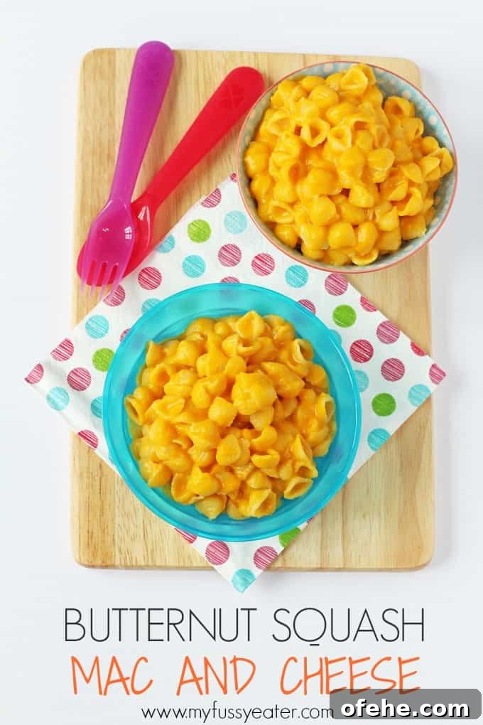 One-Pot Tomato, Basil and Lentil Pasta Recipe 6 Butternut Squash & Cheese - great for picky eating kids!
