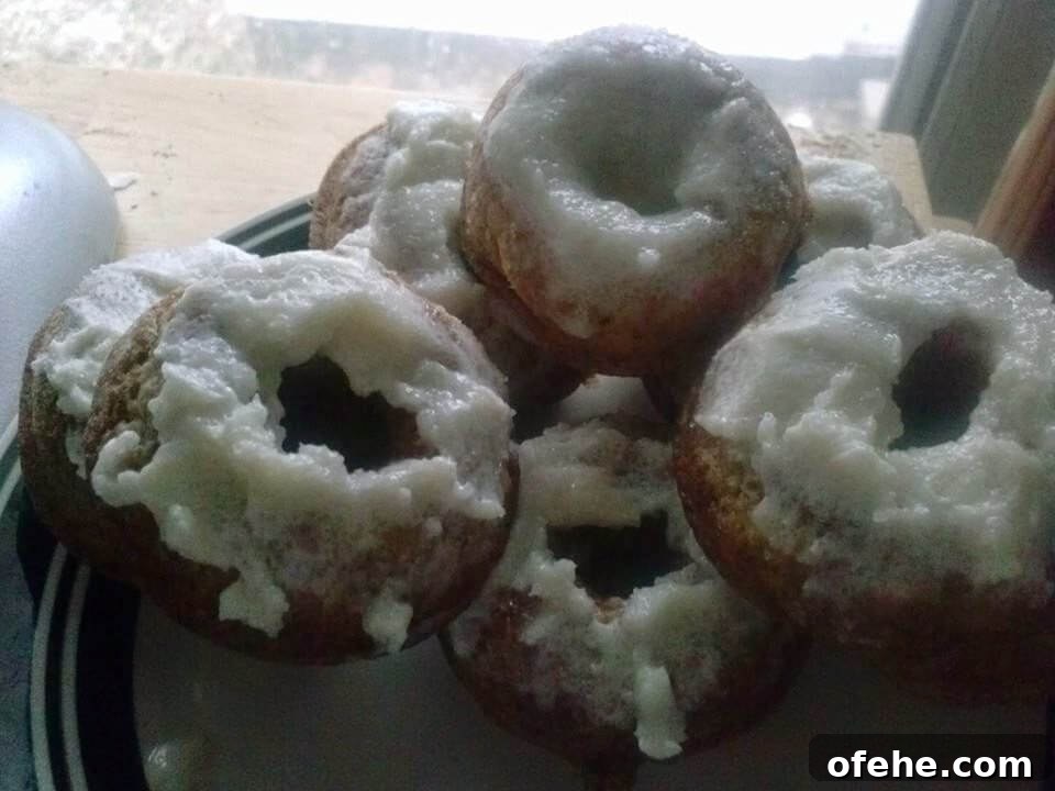 Low Carb Sugar Free Donuts- Cinnamon Spice
