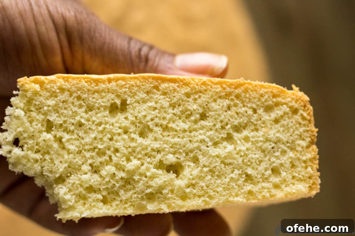 Classic Vanilla Sponge Cake Recipe for Light, Fluffy Layers 2 Person holding a slice of vanilla sponge cake.