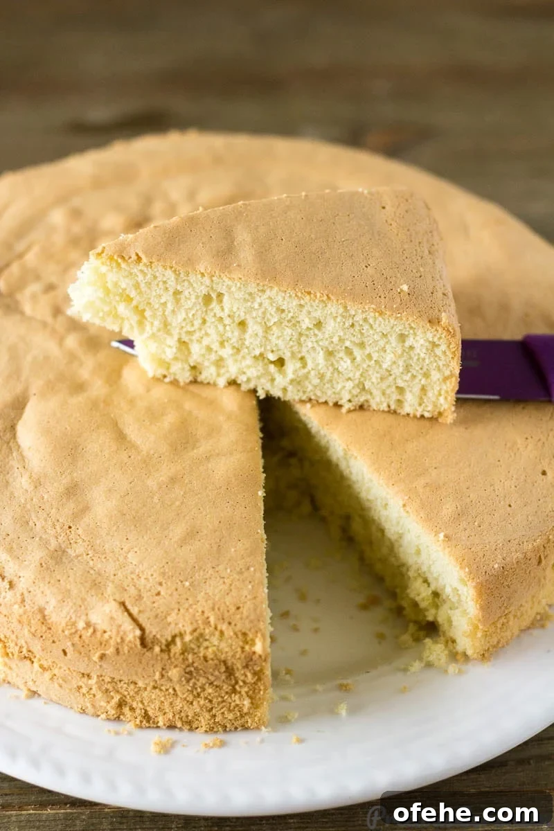 Classic Vanilla Sponge Cake Recipe for Light, Fluffy Layers 3 Vanilla Sponge Cake with a slice removed and on a knife.