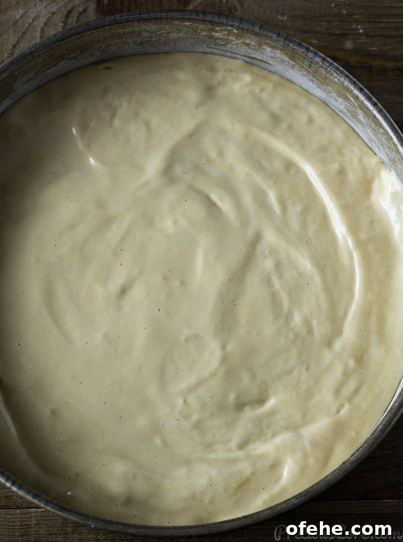 Classic Vanilla Sponge Cake Recipe for Light, Fluffy Layers 7 Vanilla Sponge Cake batter in a cake pan.