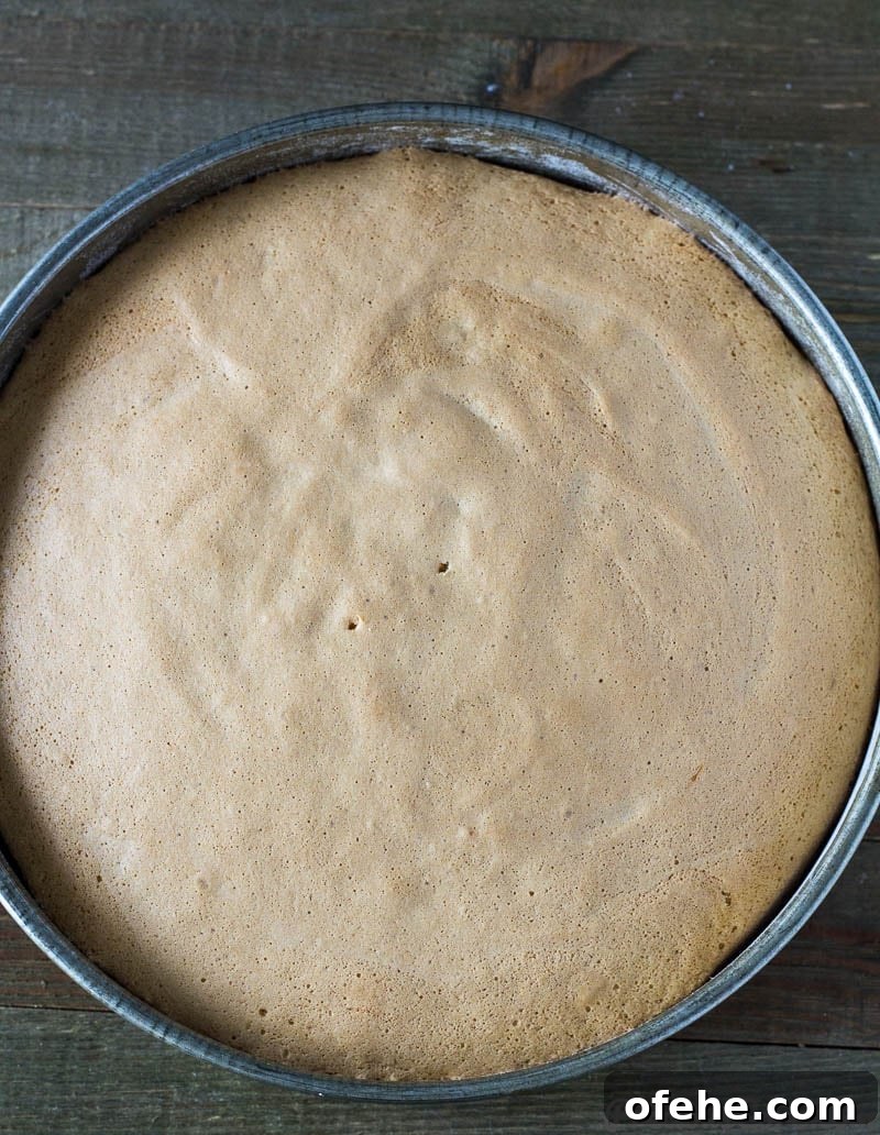 Classic Vanilla Sponge Cake Recipe for Light, Fluffy Layers 8 Vanilla Sponge Cake in a cake pan.