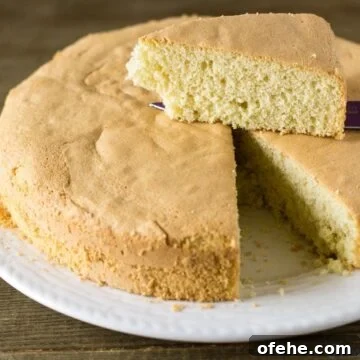 Perfect Vanilla Sponge Cake Recipe
