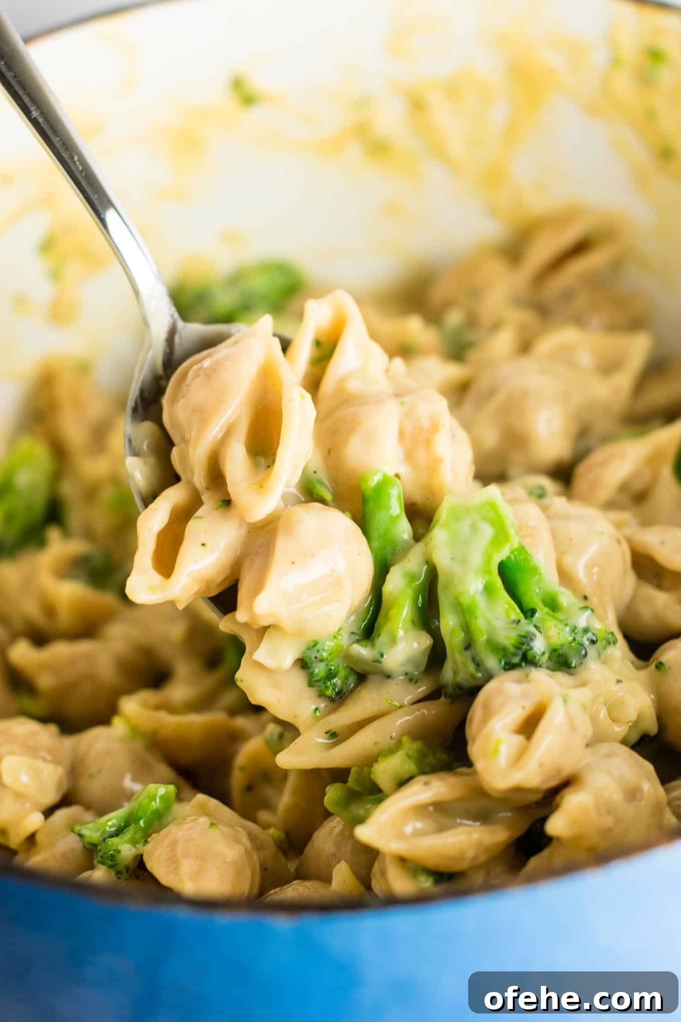 Creamy Broccoli Macaroni and Cheese Bake 3 Lightened up broccoli shells and cheese with sharp cheddar cheese and whole wheat pasta.